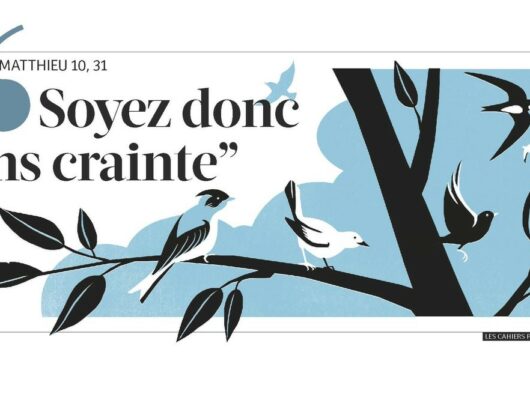 Thumbnail for the post titled: Feuille de semaine n°205