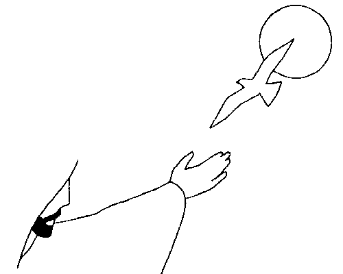 Thumbnail for the post titled: Feuille de semaine n°198