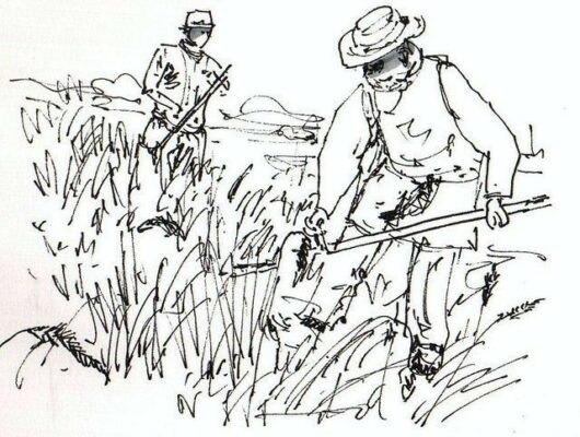 Thumbnail for the post titled: Feuille de semaine n°204