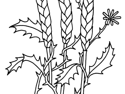 Thumbnail for the post titled: Feuille de semaine n°208