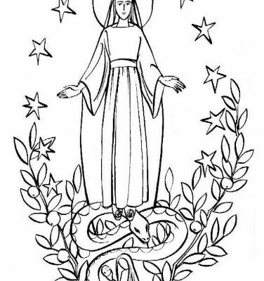 Thumbnail for the post titled: Feuille de semaine n°212